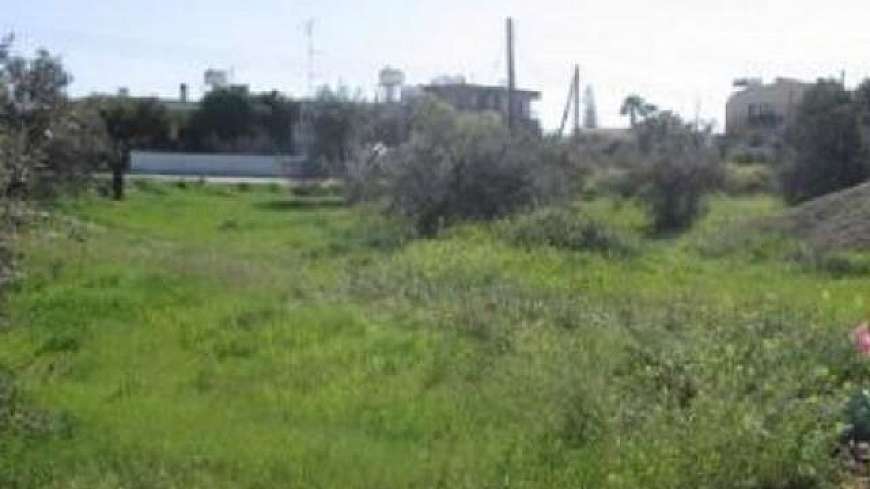Field in Dhali/ Nicosia