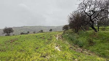 Shared field in Kelokedara, Paphos
