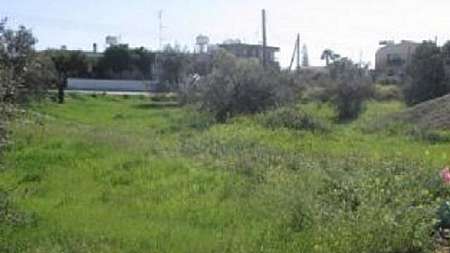 Field in Dhali/ Nicosia