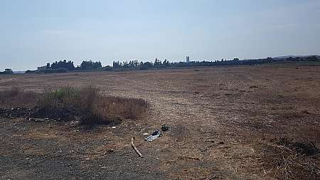 Share of Field in Zygi, Larnaka