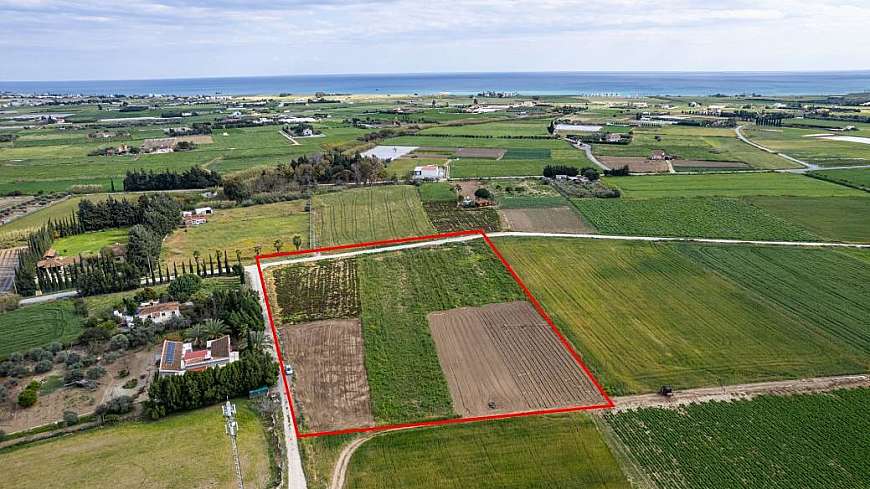 Field for sale/Softades